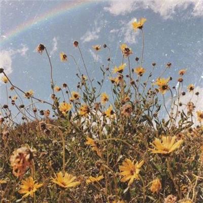 kok全站app官网登录入口