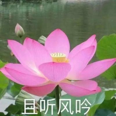 NG体育手机app下载
